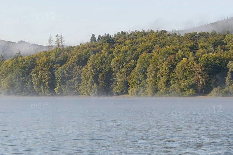 Hennesee, morning fog, Hennetalsperre, Sauerland-Rothaargebirge nature park Park, North Rhine-Westphalia, Germany