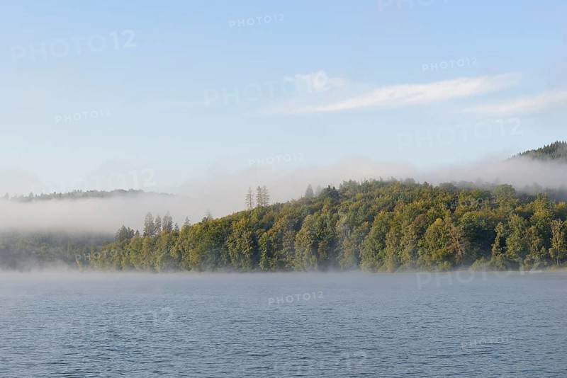 Hennesee, morning fog, blue sky, Hennetalsperre, Sauerland-Rothaargebirge nature park Park, North Rhine-Westphalia, Germany