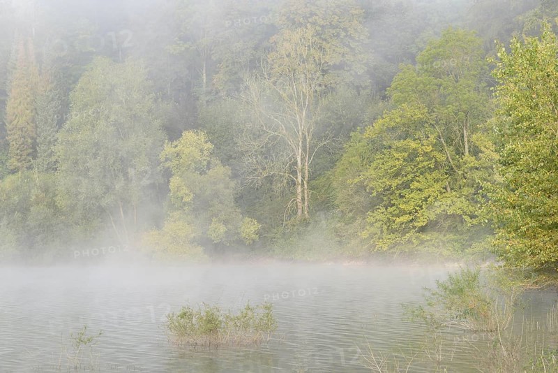 Hennesee, rising clouds of fog in front of the deciduous forest near the shore, Hennetalsperre, Sauerland-Rothaargebirge nature park Park, North Rhine-Westphalia, Germany