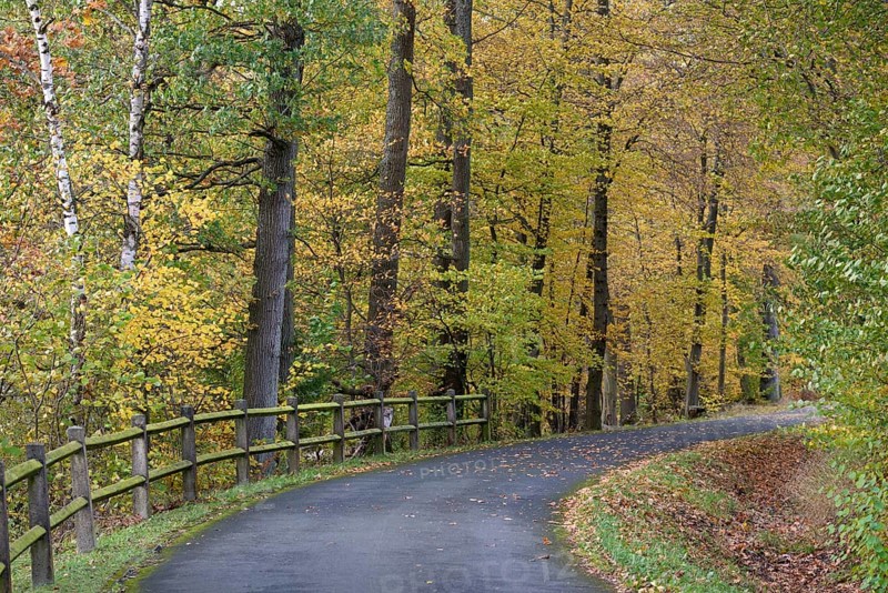 Riverside trail leads through the autumn forest at Möhnesee, Möhnetalsperre, North Rhine-Westphalia, Germany