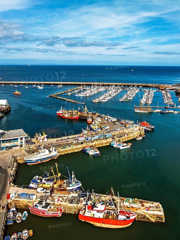 Brixham Hourbour and Brixham Marina from a drone, Brixham, Torbay, Devon, England, United Kingdom