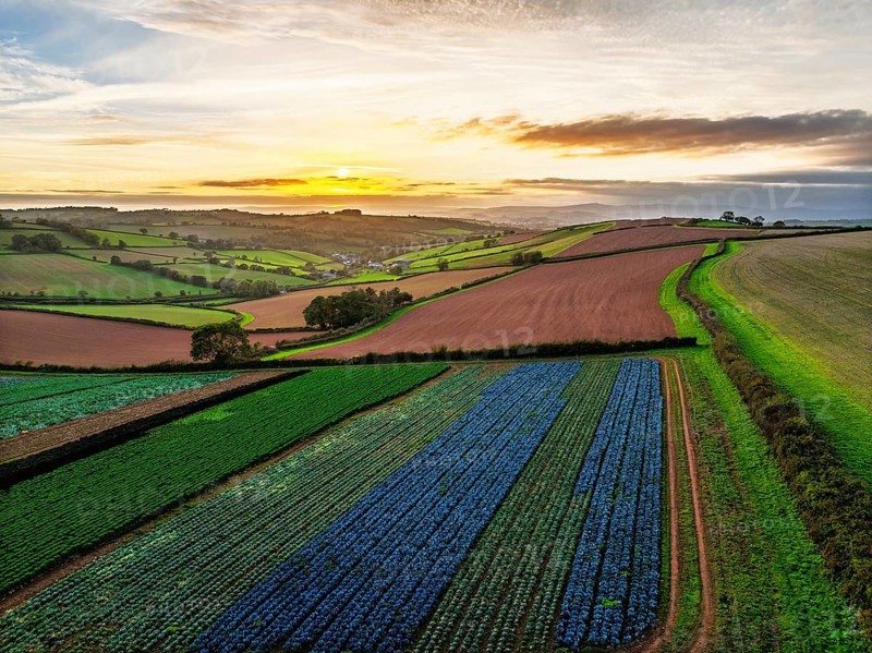 Colours of autumn Fields and Farms over Sheldon from a drone, Torbay, Devon, England, United Kingdom