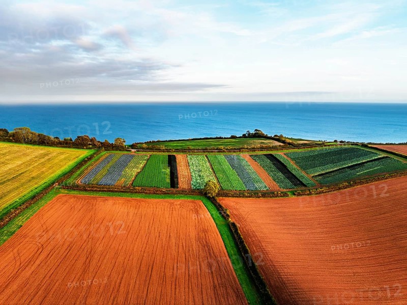 Colours of autumn Fields and Farms over Sheldon from a drone, Torbay, Devon, England, United Kingdom