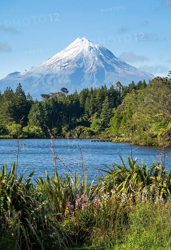 Lake Mangamahoe with views of Mount Taranaki. Egmont National Park, Taranaki Region, North Island, New Zealand