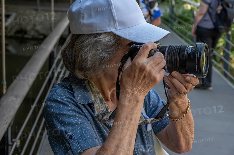 Elderly woman taking pictures, Amberg Upper Palatinate, Bavaria, Germany