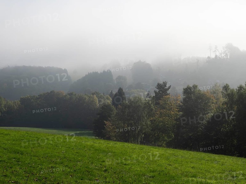 Landscape with meadows, forest and fog, Upper Lusatian mountain landscape, Zittau Mountains, Saxony, Germany