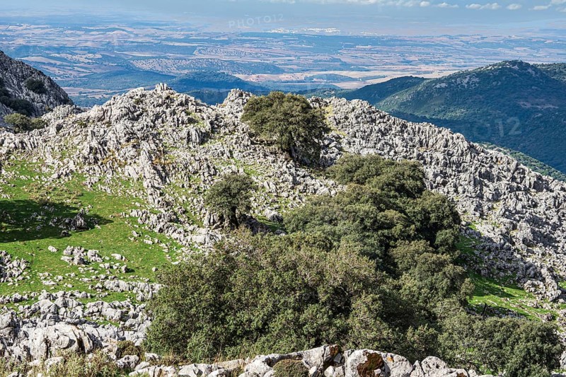 Limestone mountains, mountain range Sierra de Grazalema, Parque natural de la Sierra de Grazalema, Andalusia, Spain