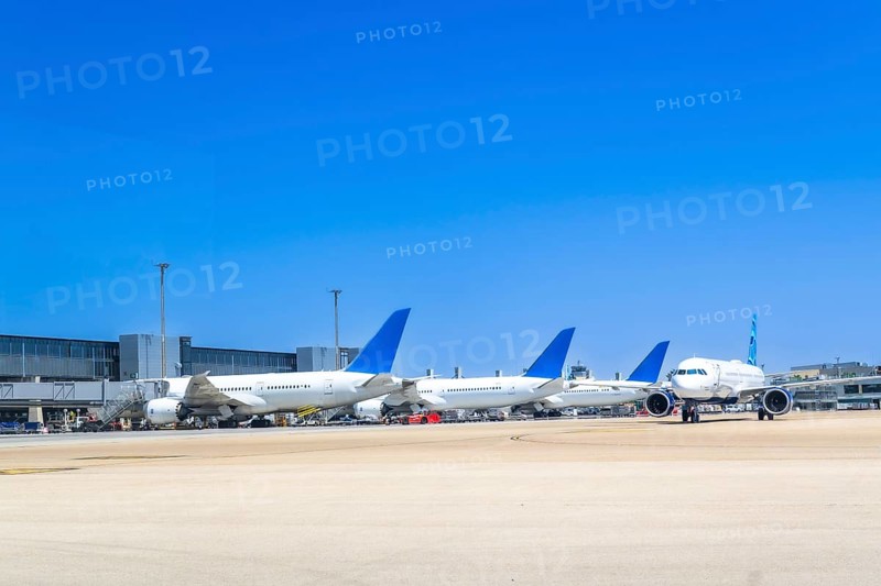 Several white and blue airplanes parked at airport gates on a clear, sunny day, waiting for their next departures or arrivals, creating a vibrant scene of aviation activity