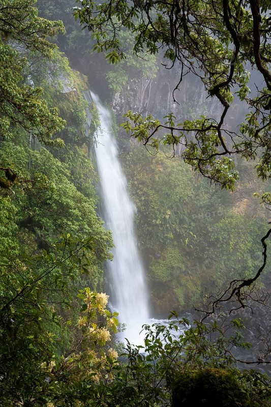 Dawson Falls Waterfall. Egmont National Park, Taranaki Region, North Island, New Zealand