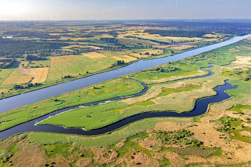 Aerial view over the Oder river in the German-Polish nature reserve Lower Oder Valley International Park, Uckermark district, Brandenburg, Germany