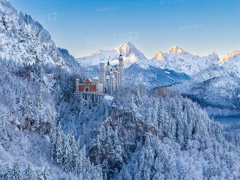 Majestic Neuschwanstein Castle surrounded by snow-covered Alps and thick forests, a winter dream, Schwangau near Füssen, Ostallgäu, Allgäu, Bavaria, Germany