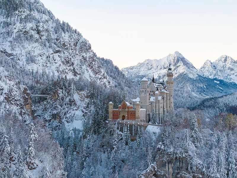 Neuschwanstein Castle in a frosty winter landscape surrounded by snow-covered trees, Schwangau near Füssen, Ostallgäu, Allgäu, Bavaria, Germany