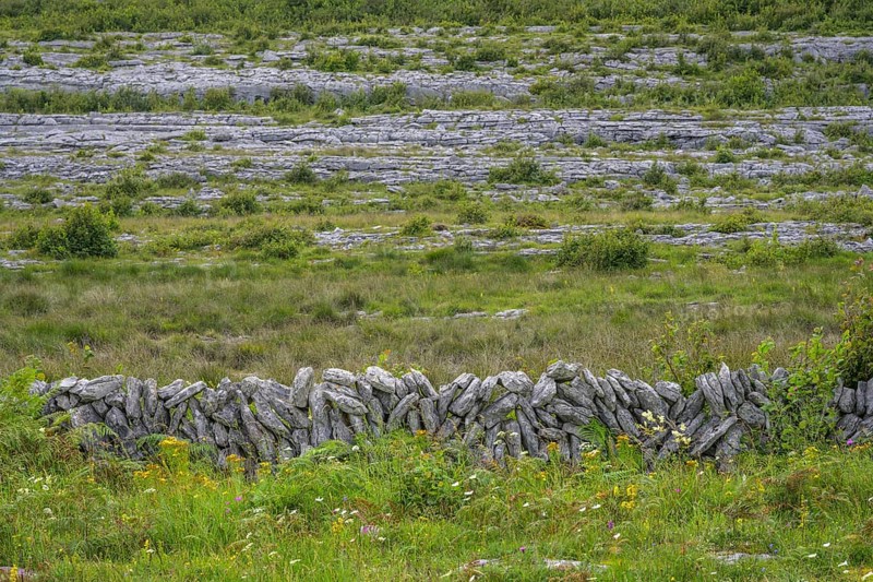 Stone wall in the karst landscape of the Burren, Keelhilla, Carran, County Clare, Ireland