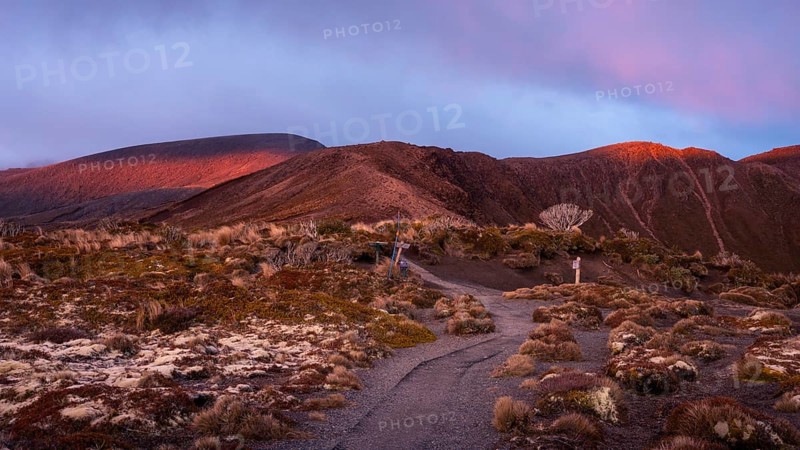 Volcanic landscape, Tama Lake Walk (Tama Lakes Track), evening light, sunset. Tongariro National Park, North Island, New Zealand