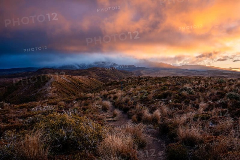 Volcanic landscape, Tama Lake Walk (Tama Lakes Track), Mt Ruapehu in clouds, evening light, sunset. Tongariro National Park, North Island, New Zealand