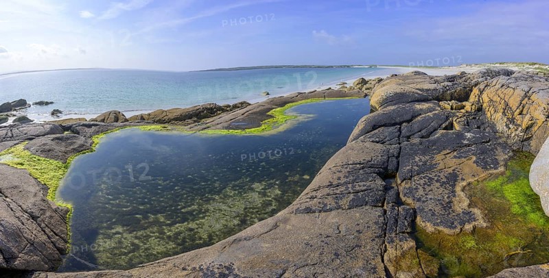 Tide pools with green algae on Gurteen Beach, Roundstone, County Galway, Ireland