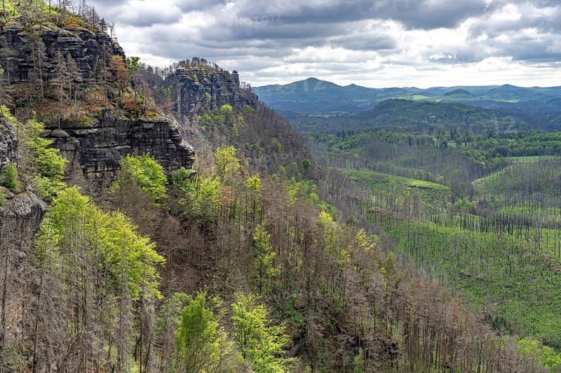 Rock formation and forest in the Bohemian Switzerland National Park near Hrensko, Czech Republic