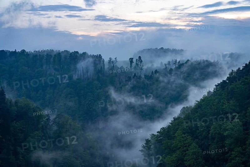 Fog in the forest of Bohemian Switzerland National Park near Hrensko, Czech Republic