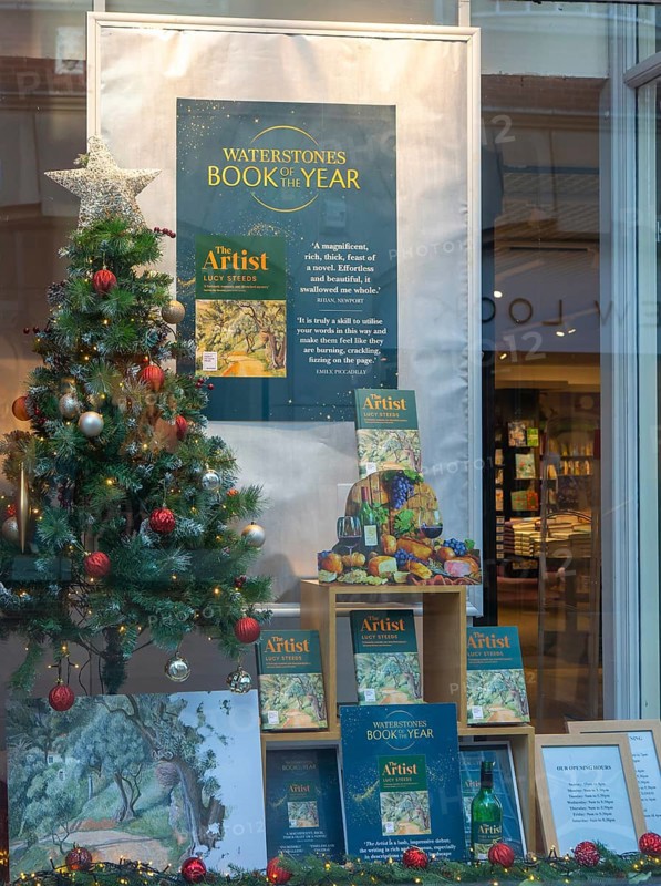 Waterstones Book of the Year, The Artist by Lucy Steed, books in window display of Waterstones bookshop, Ipswich, Suffolk, England, UK