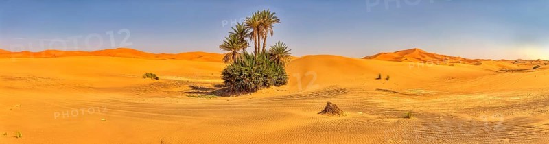 A wide panorama of a small oasis with palm trees in the endless expanse of the desert, Sahara, Merzouga in Morocco