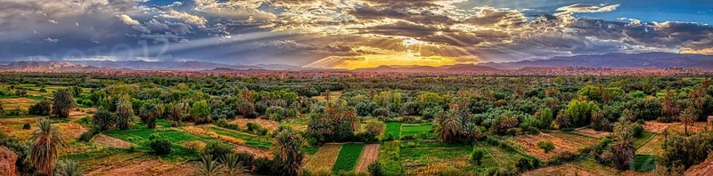 Wide green oasis landscape under a dramatic sunset sky with clouds, Tinghir in Morocco