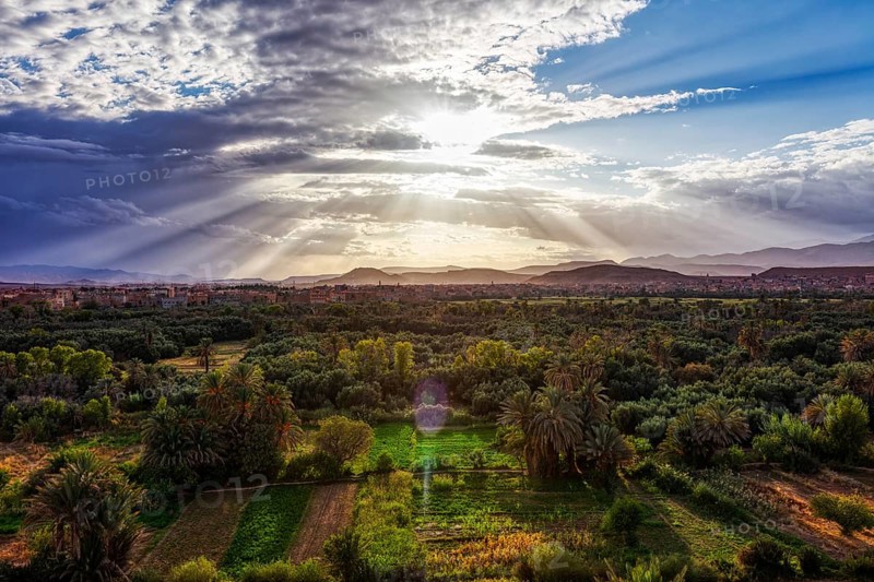 Idyllic image of an oasis pierced by sunbeams, surrounded by fields, Tinghir in Morocco