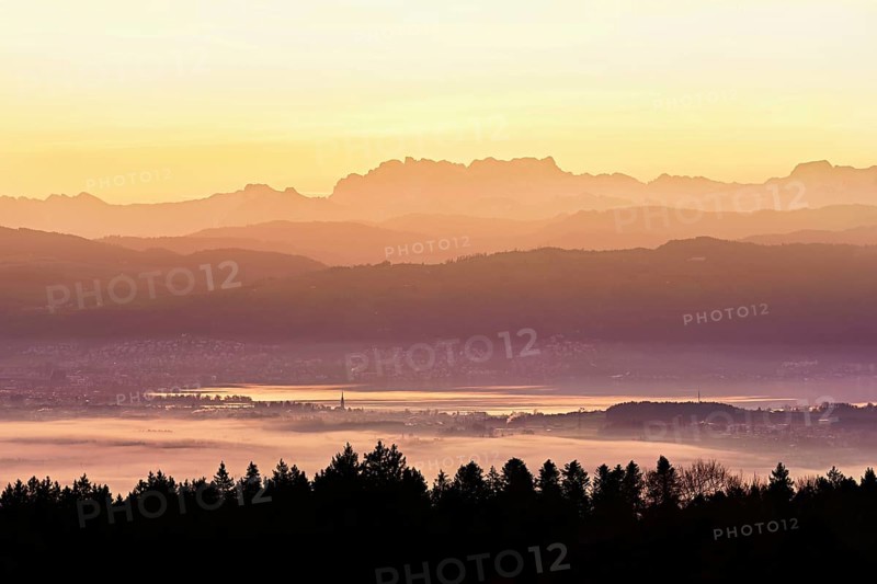 View from Horben of Lake Zug with the city of Cham and Zug covered in fog, behind it the snow-capped mountains Flübrig and Vrenelisgärtli in the light of the rising sun, Beinwil-Freiamt, Canton, Aargau, Switzerland