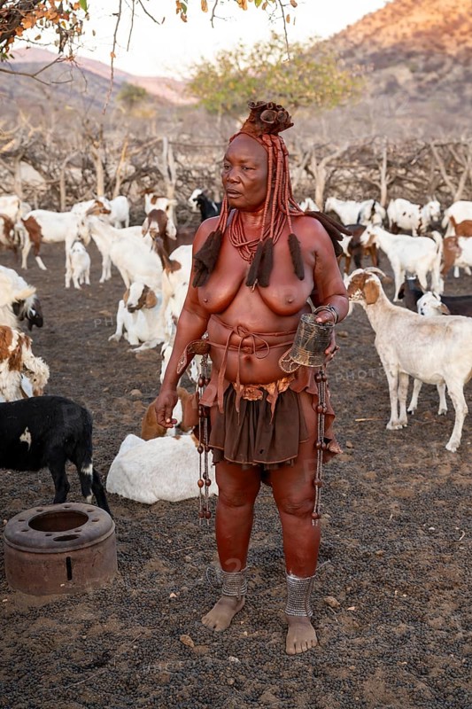 Himba woman milking a goat, traditional Himba village, Kaokoveld, Kunene, Namibia