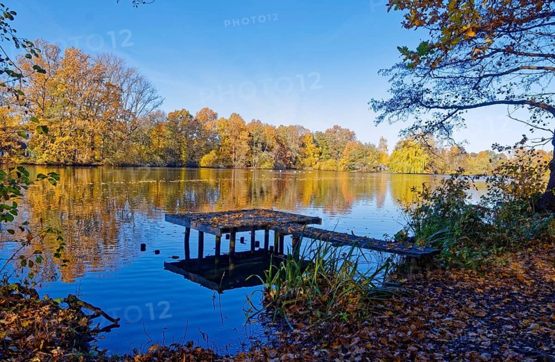 Autumn colors and a fishing platform on Sandbrack, a lake in the Kirchwerder district of Hamburg. Fünfhausen, Kirchwerder, Hamburg, Germany