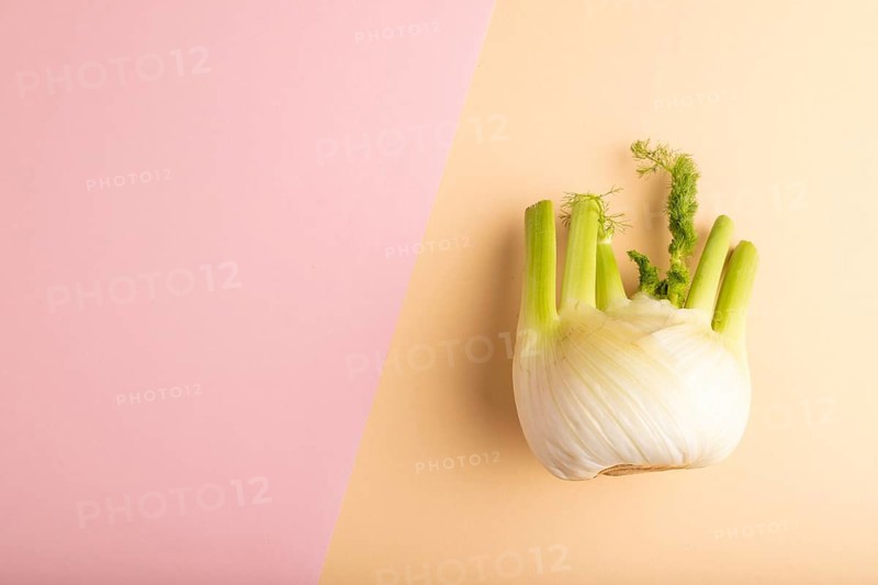 Fresh Fennel bulb on pink and orange pastel paper background, top view, flat lay, copy space, minimalism
