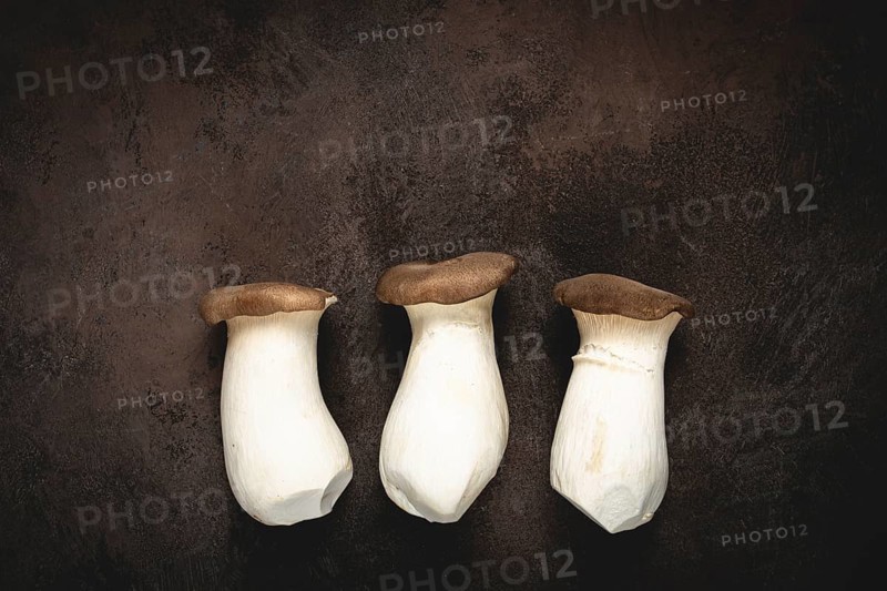 Fresh eringi mushrooms, raw, royal oyster mushrooms, three pieces, Asian cuisine, no people