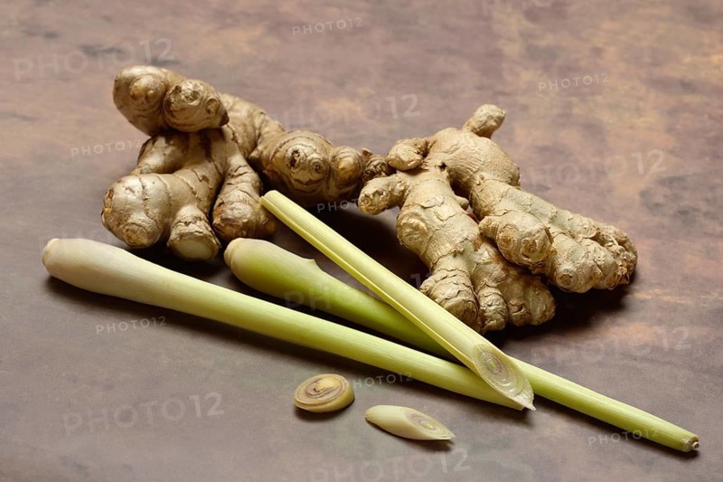Ginger, ginger bulbs and lemongrass