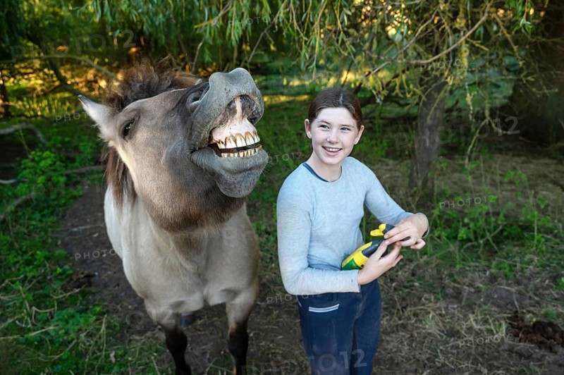 Howling horse, next to a young girl in the pasture, Othenstorf, Mecklenburg-Western Pomerania, Germany