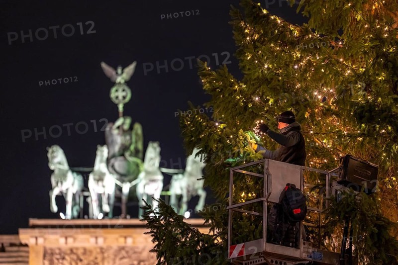 The big Christmas tree in front of the Brandenburg Gate, on Pariser Platz, is decorated with fairy lights, Berlin, Germany