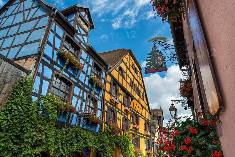 Decorated half-timbered houses in the historic old town of Riquewihr, Ellsass