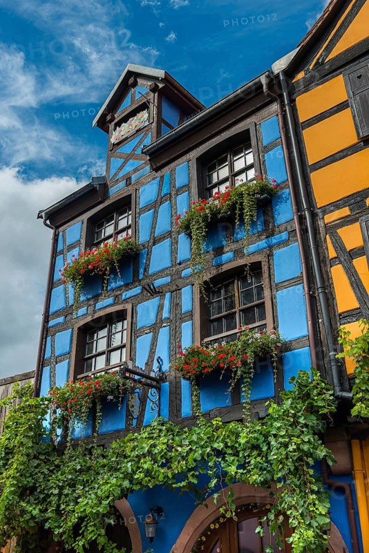 Decorated timber-frame house in the historic old town of Riquewihr, Ellsass