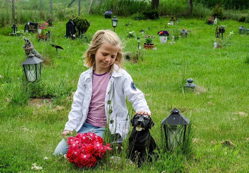 Grieving blonde 7-year-old girl at her dog's grave at pet cemetery in Ystad, Skåne County, Sweden, Scandinavia