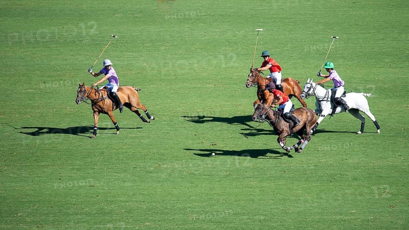Scene at the 132nd Argentinean Open Polo Championship (Spanish 132nd Abierto Argentino de Polo de Palermo) in the Polo Stadium playing between La Irenita la Hache and La Ensenada in Buenos Aires, Argentina