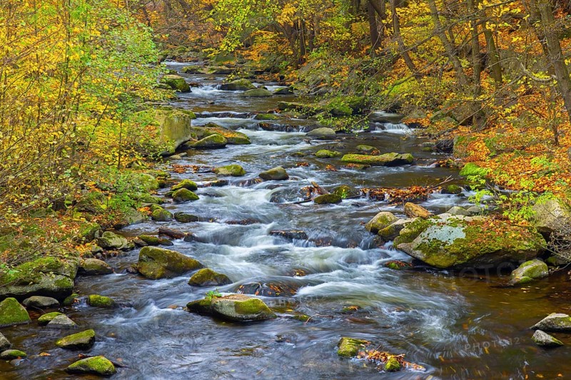 River Bode running through forest showing autumn colours, fall colors at Nature reserve Bode Valley in the Harz Mountains, Saxony-Anhalt, Germany