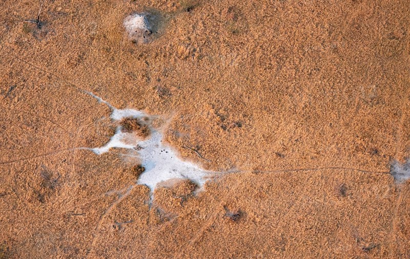 Paths, trails in the countryside, animal trails Aerial view of the Okavango Delta, near Maun, Okavango Delta, Botswana