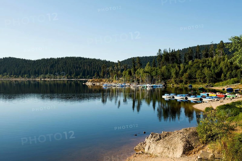 Morning atmosphere with colorful paddle boats and rowing boats, Schluchsee, Black Forest, Southern Black Forest, Baden-Württemberg, Germany