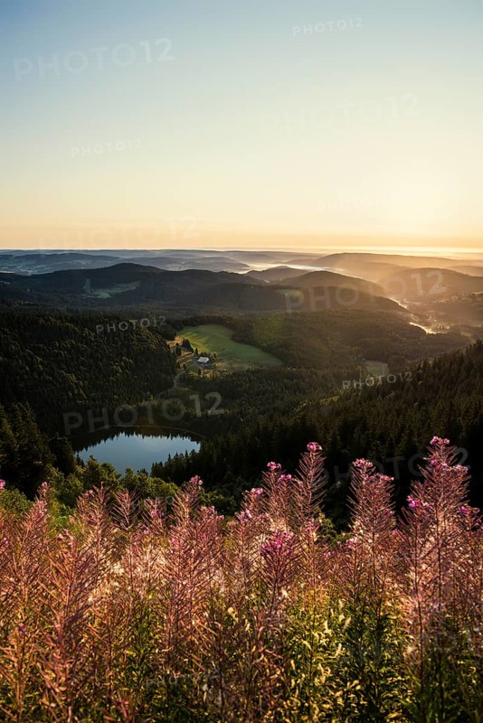 View from Feldberg to Feldsee looking east, sunrise, Black Forest, Southern Black Forest, Baden-Württemberg, Germany