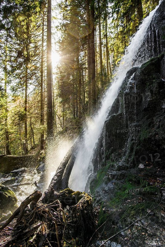 Zweribach Waterfalls, protected forest, St Märgen, Black Forest, Southern Black Forest, Baden-Württemberg, Germany