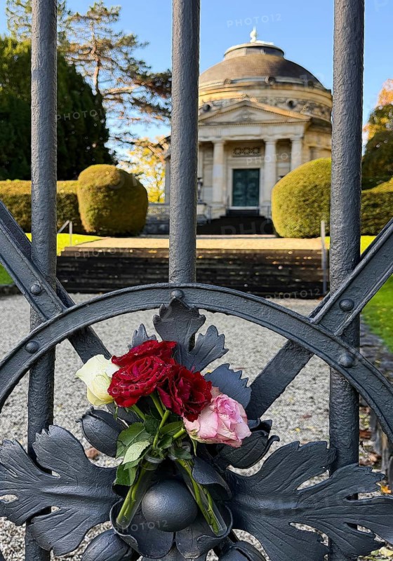 Roses at the fence door of the Carstanjen mausoleum in the Plittersdorf district, Bonn, North Rhine-Westphalia, Germany