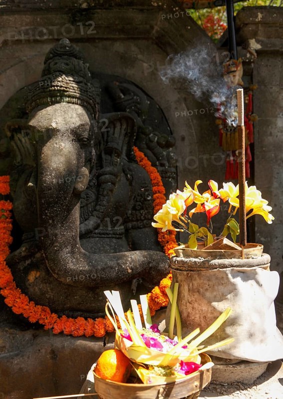 Flowers arranged for beautiful offerings in front of a Ganesha figure, Bali, Indonesia