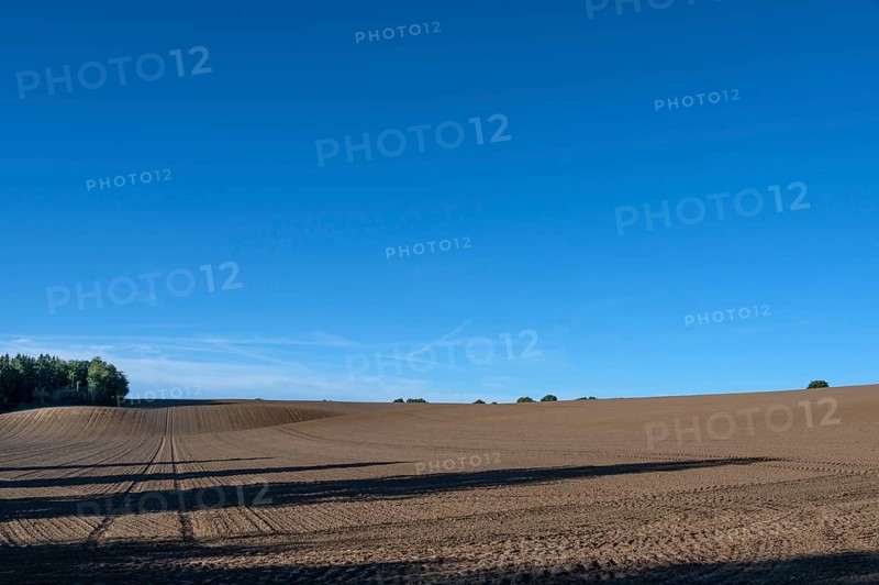 Ordered, large arable area, Mecklenburg-Western Pomerania, Germany