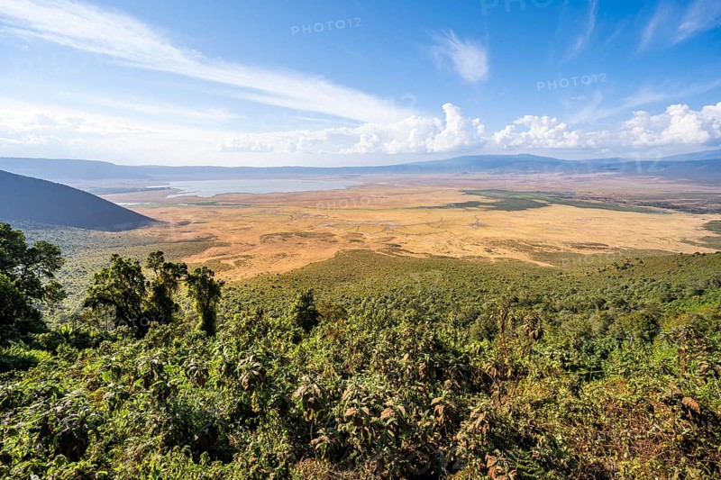 View of Ngorongoro Crater, Crater Viewpoint, Forest and Savanna Landscape, Ngorongoro Conservation Area, Tanzania