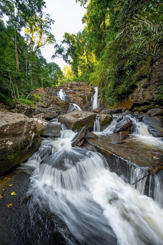 Derema Waterfall flows through thick vegetation, tropical rainforest in Amani Nature Forest Reserve, long exposure, Eastern Usambara Mountains, Tanga, Tanzania