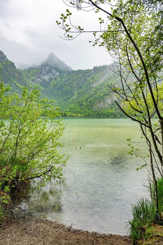 Landscape of Lake Offensee on a rainy day in spring, Salzkammergut, Austria