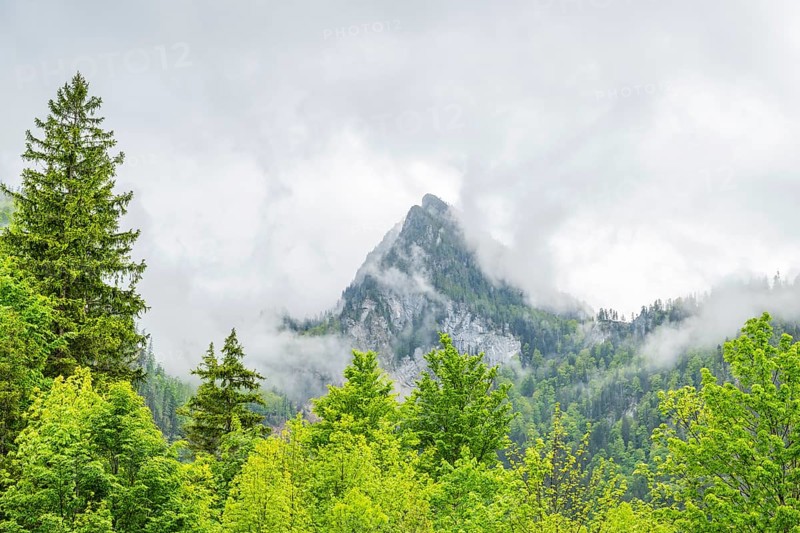 View into the mountains next to Lake Offensee on a rainy day in spring, Salzkammergut, Austria, Europe, Salzkammergut, Austria, Europe